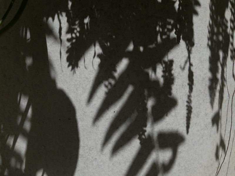 Double Crush 攝影書拍攝計畫｜王湘靈｜國藝會補助成果檔案庫